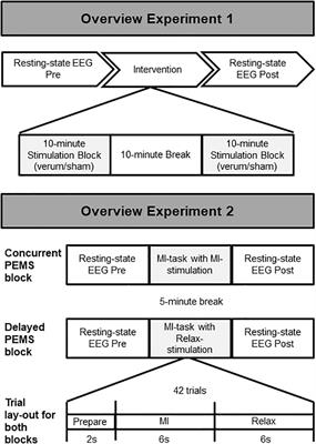 Peripheral Electrical Stimulation Modulates Cortical Beta-Band Activity